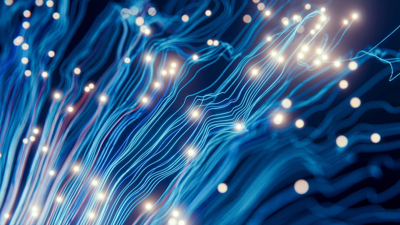 Data investment priorities